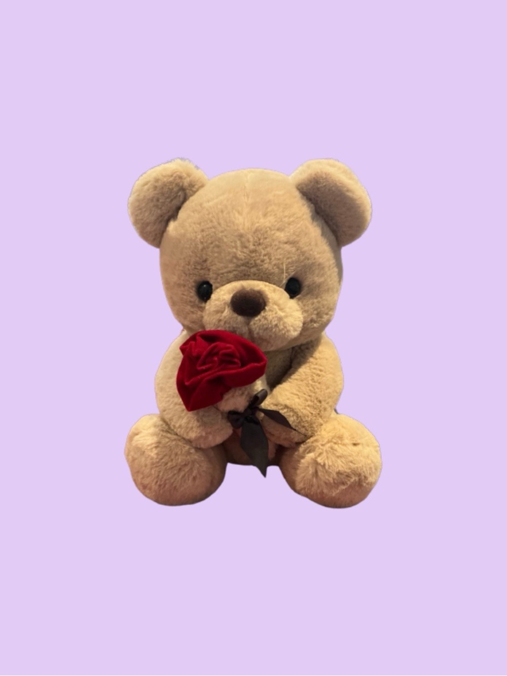 Amazon Beige Plush Teddy Bear with Red Rose